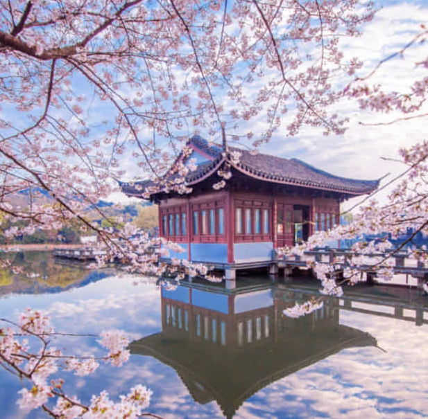beautiful peach blossom viewing spot in China today